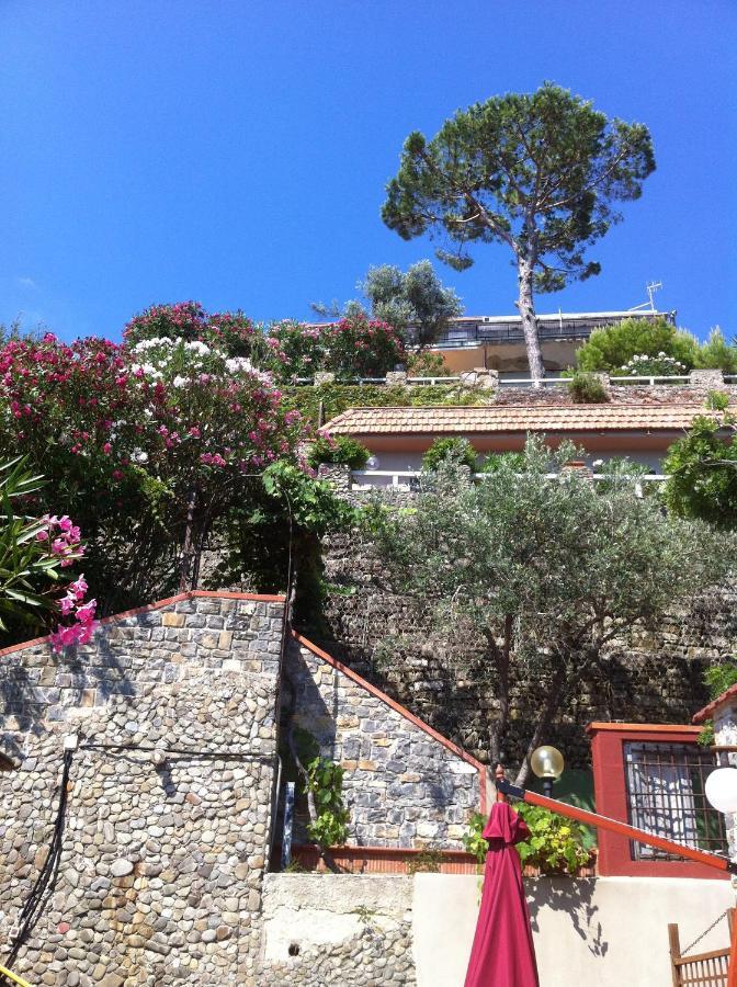 Villa Martina Mare Casal Velino Exteriér fotografie