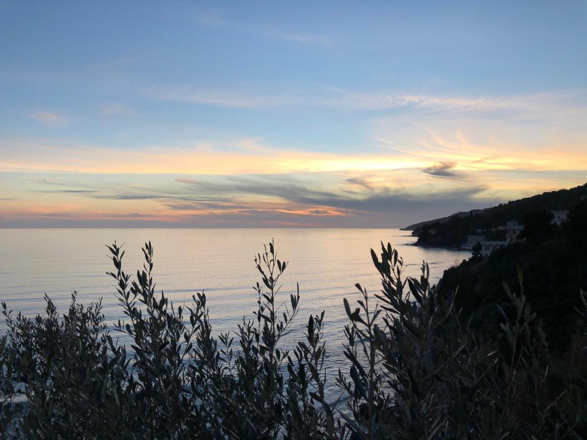 Villa Martina Mare Casal Velino Exteriér fotografie